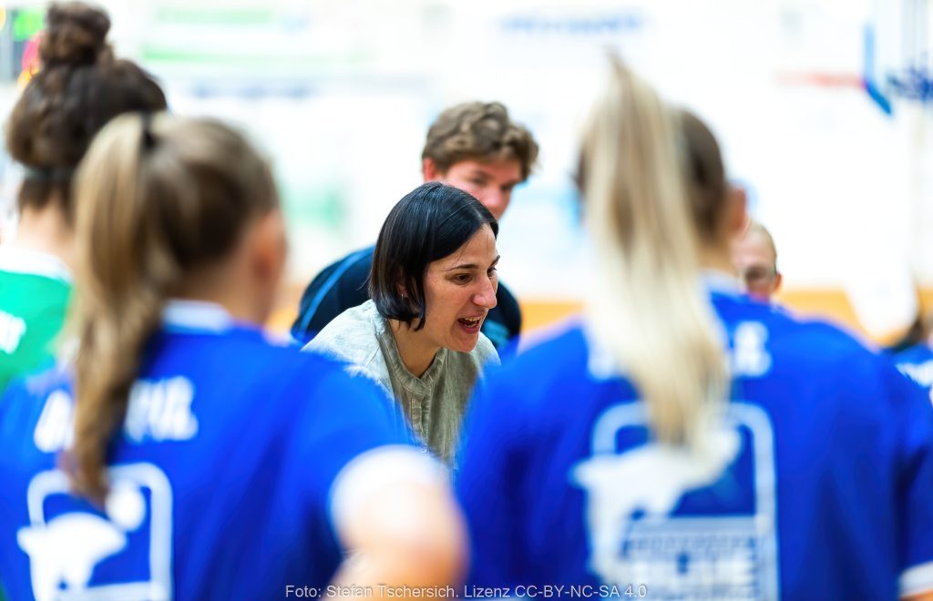 Young Dolphins: Niederlage gegen Chemnitz