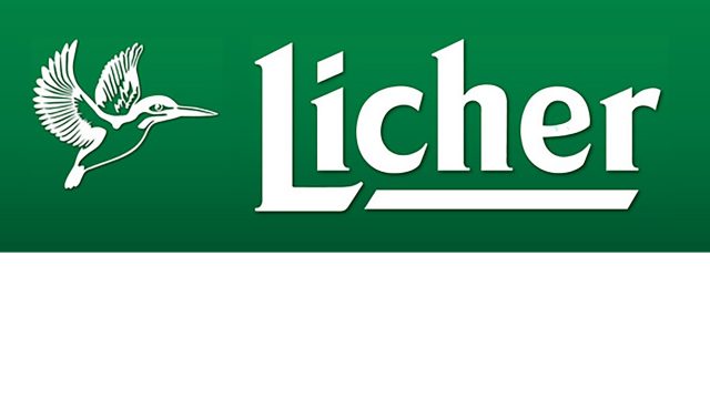89999_Licher_Sponsoring_Logo_