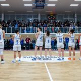 Die Blue Dolphins brauchen in Halle eure Unterstützung. Foto: Stefan Tschersich